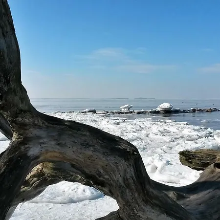 度假居 Chrissy Loissin